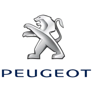 Autolak in Blik Peugeot